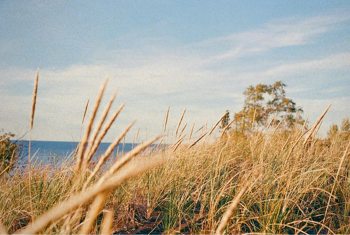 unsplash_IFgqJRoBH4I_result